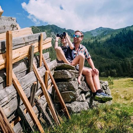 Chalet Freiblick Kleinhaid, Hollersbach Hollersbach im Pinzgau Eksteriør bilde