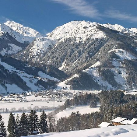 Chalet Freiblick Kleinhaid, Hollersbach Hollersbach im Pinzgau Eksteriør bilde