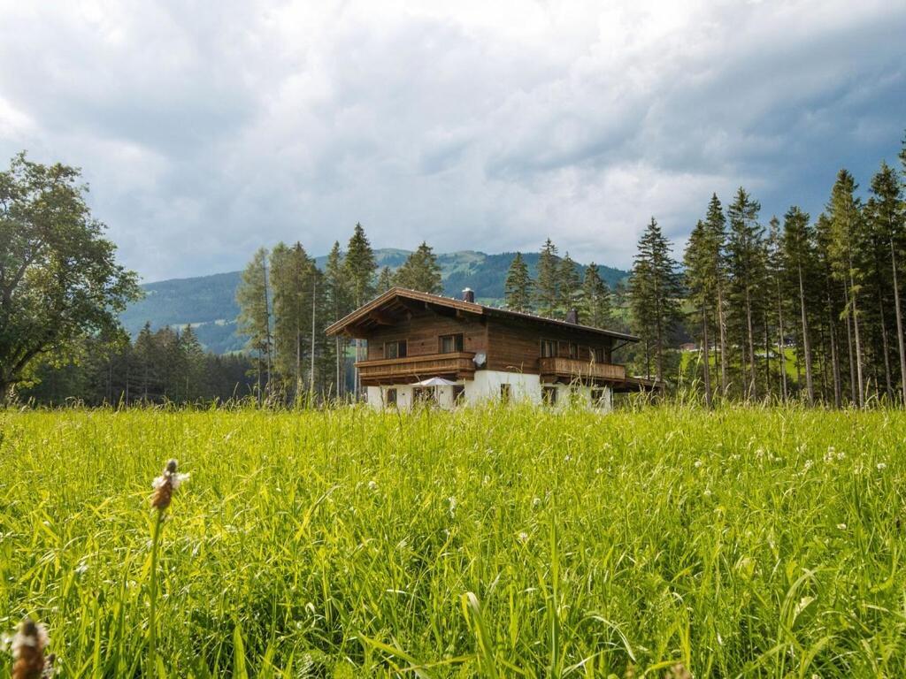 Chalet Freiblick Kleinhaid, Hollersbach Hollersbach im Pinzgau Eksteriør bilde