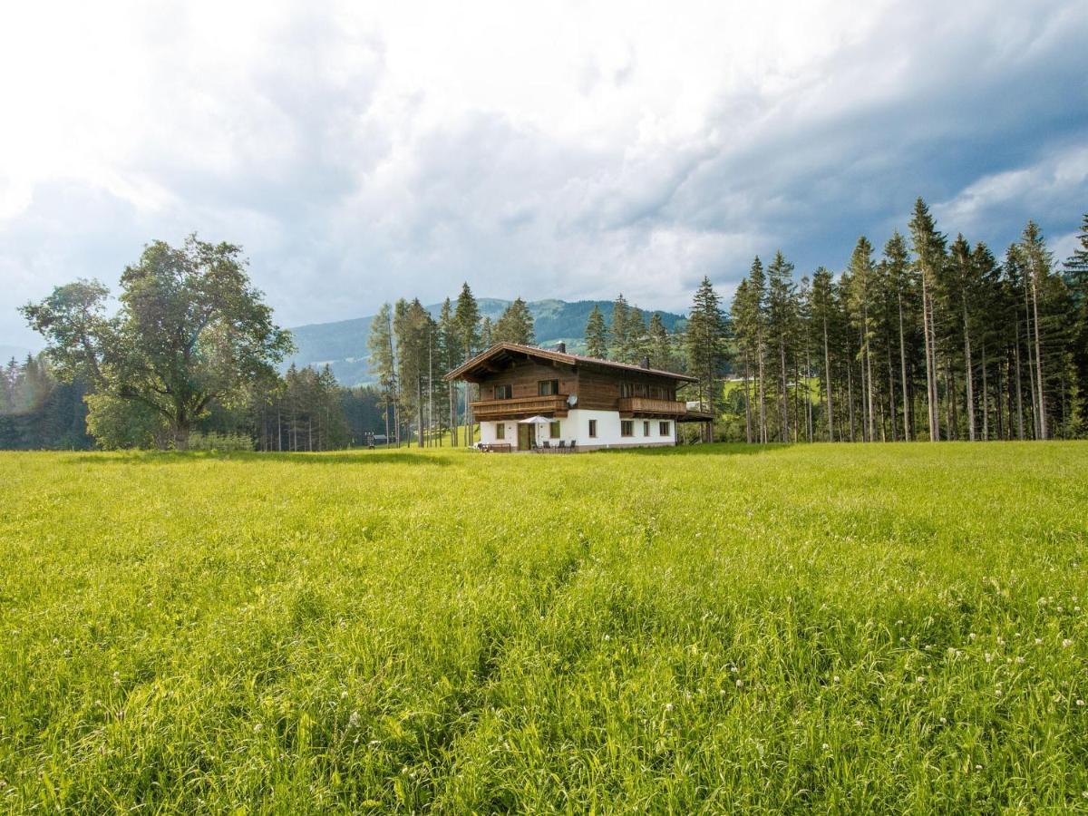 Chalet Freiblick Kleinhaid, Hollersbach Hollersbach im Pinzgau Eksteriør bilde