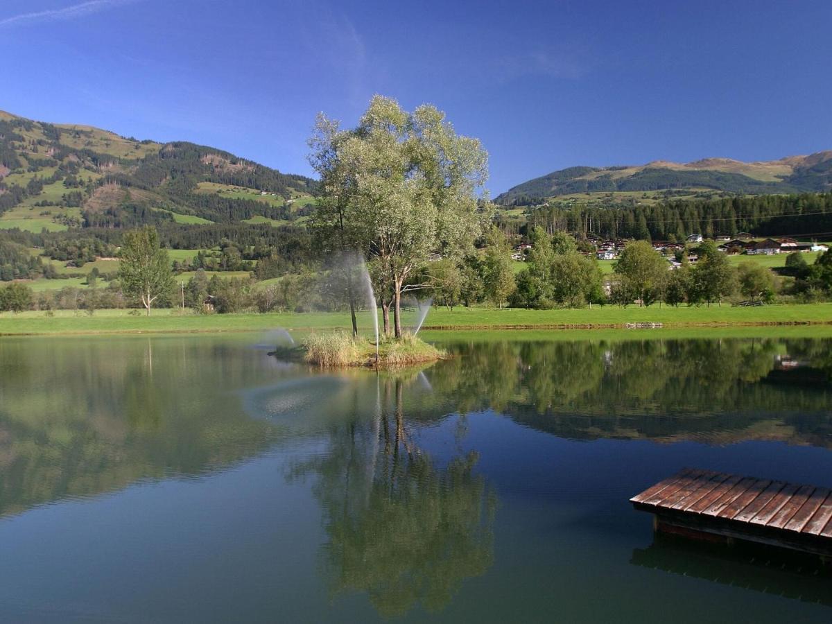 Chalet Freiblick Kleinhaid, Hollersbach Hollersbach im Pinzgau Eksteriør bilde