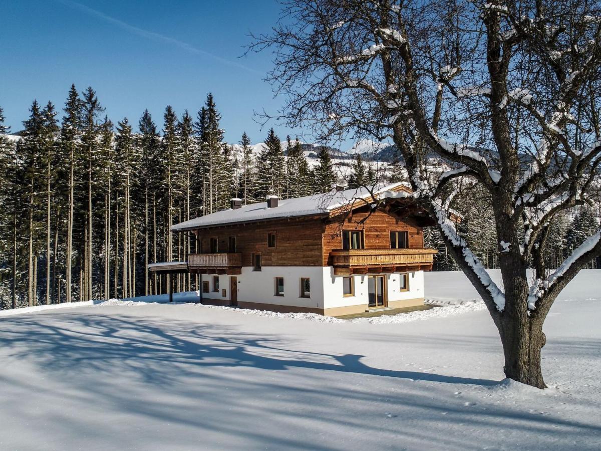 Chalet Freiblick Kleinhaid, Hollersbach Hollersbach im Pinzgau Eksteriør bilde